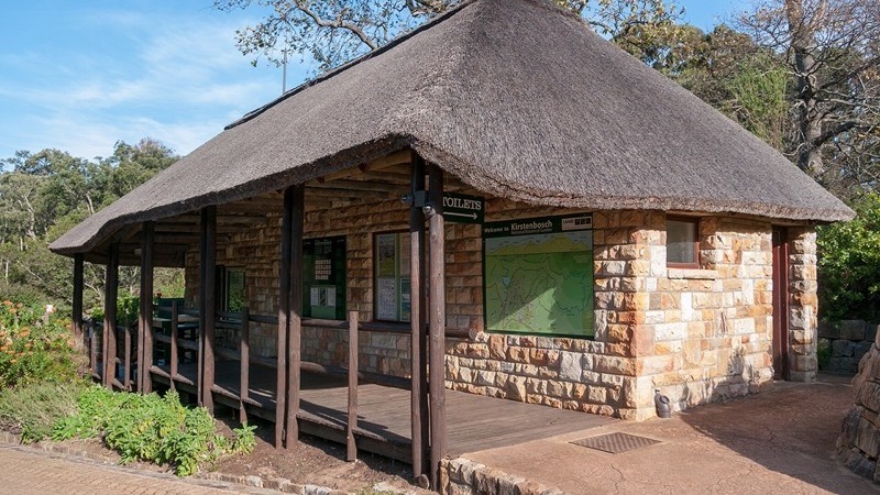 Kirstenbosch, Cape Town