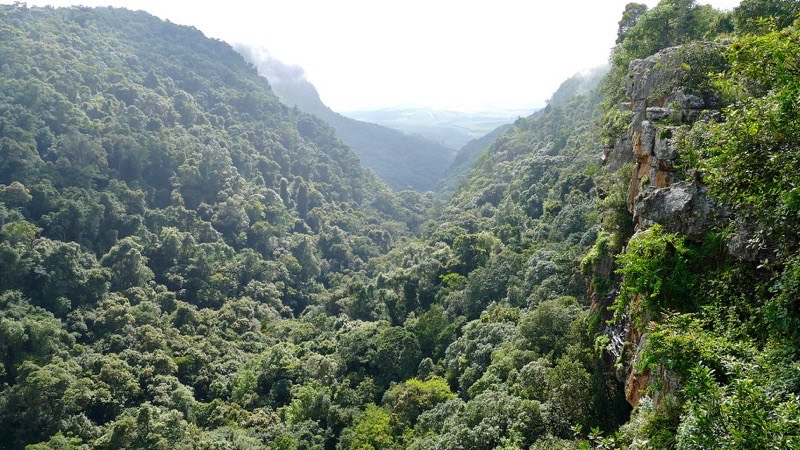 Graskop Gorge Lift, Hazyview