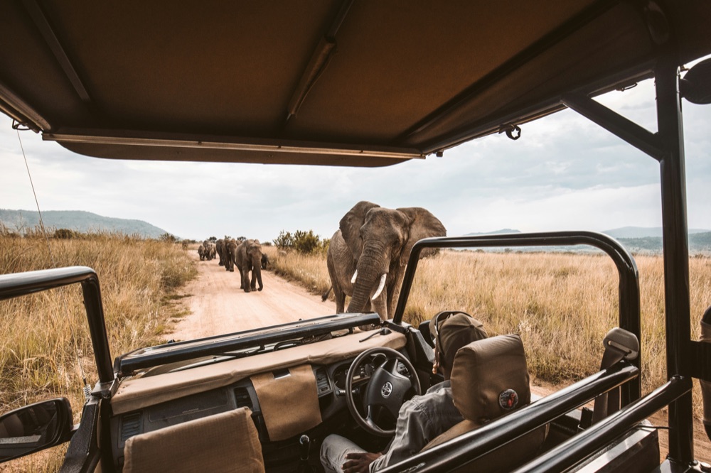 Tours & safari